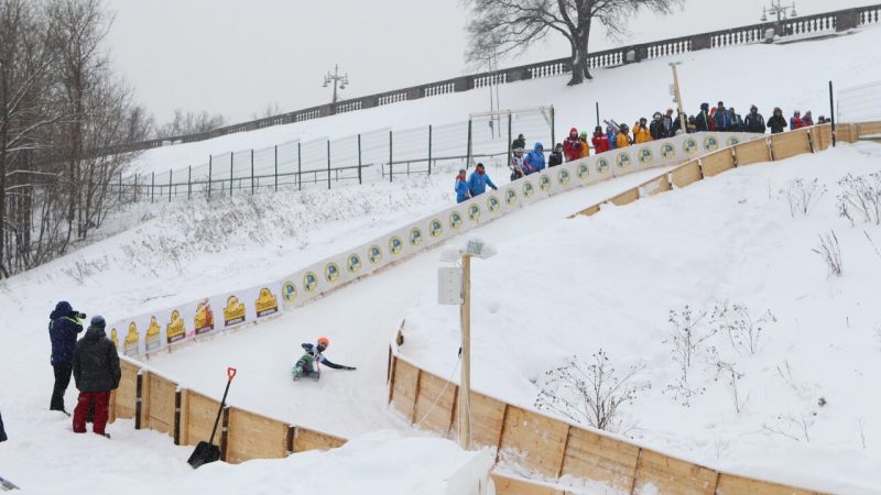 Luge (file photo)