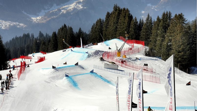 Freestyle skiing (file photo)