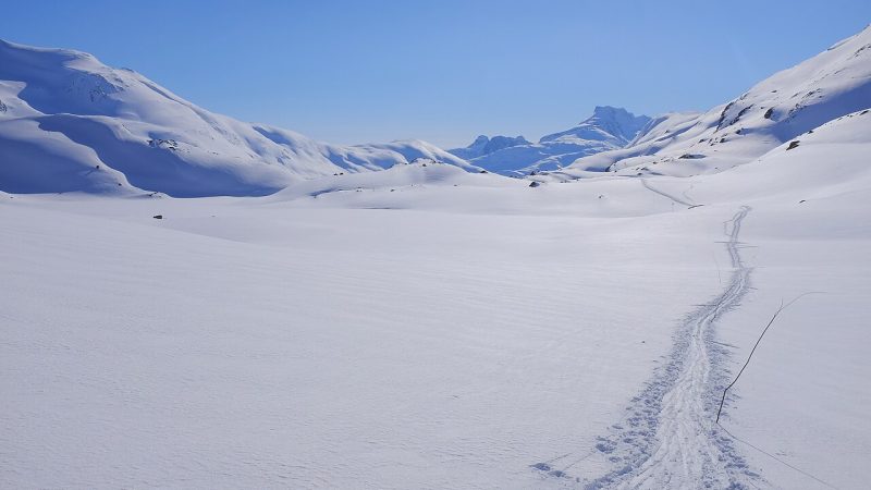 Cross-country skiing (file photo)