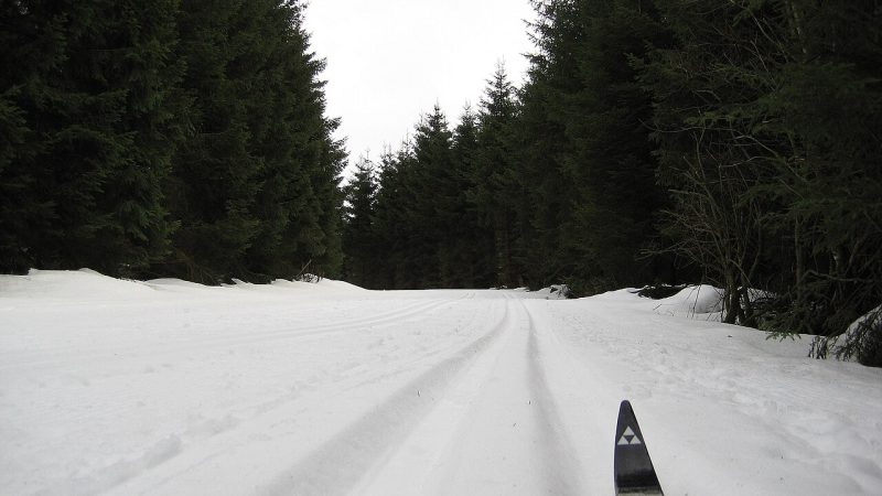 Illustrasjonsbilde: Langrenn