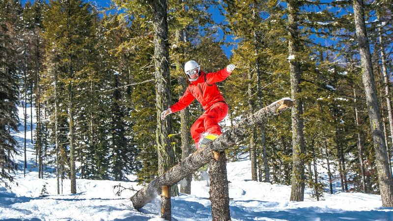 Freestyle skiing (file photo)
