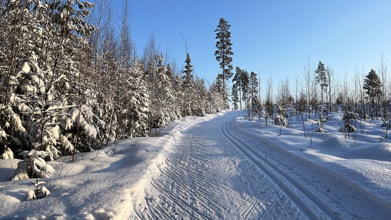 Cross-country skiing (file photo)