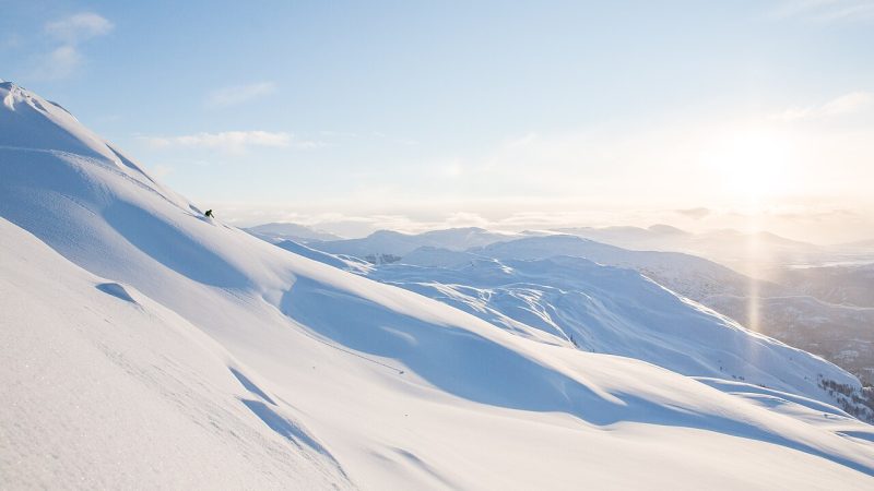 Alpine skiing (file photo)