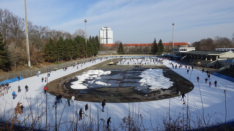 Patinage de vitesse (photo d'illustration)