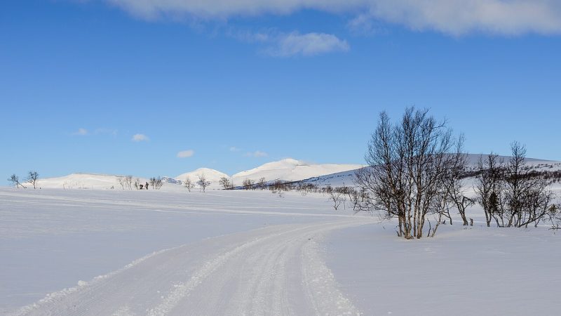 Cross-country skiing (file photo)