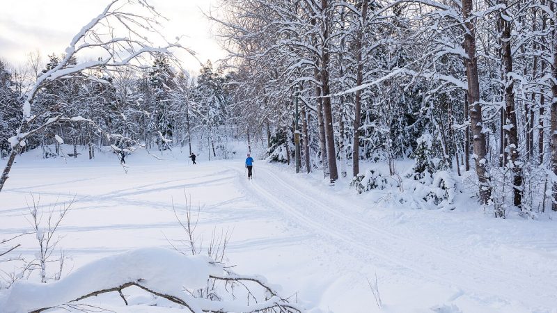 Cross-country skiing (file photo)