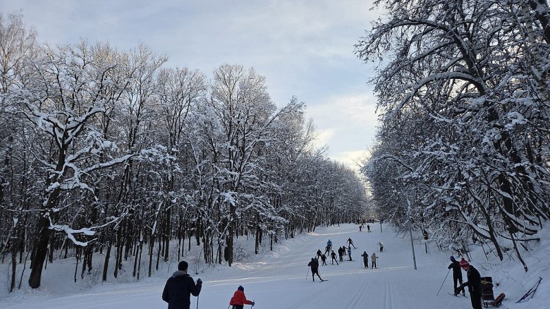 Ski de fond (photo d'illustration)
