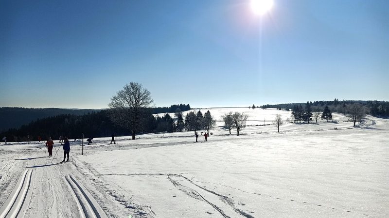 Cross-country skiing (file photo)