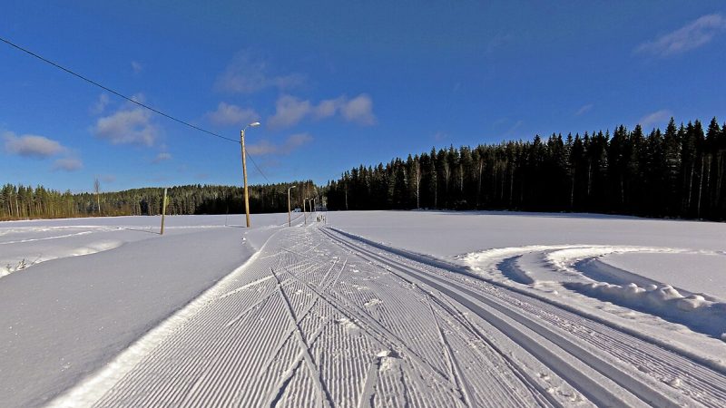 Cross-country skiing (file photo)