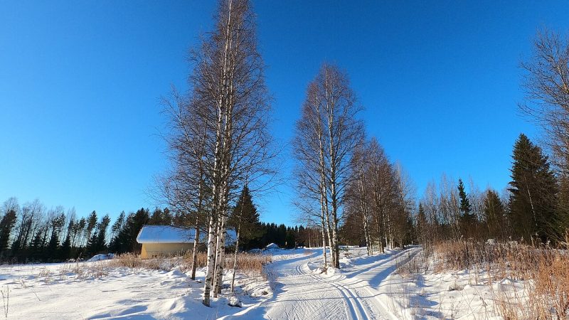Cross-country skiing (file photo)