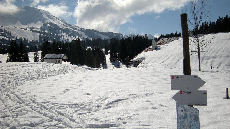 Cross-country skiing (file photo)